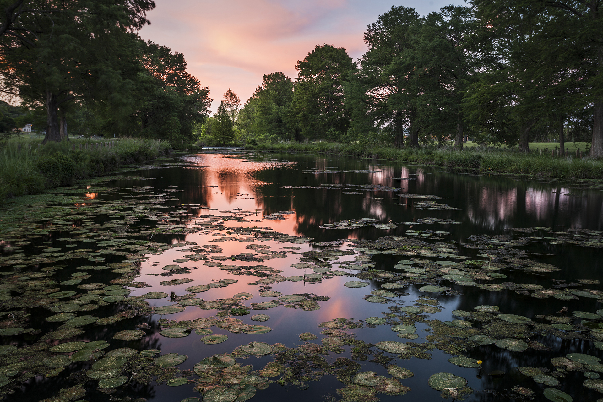 Spring Lake - San Marcos, TX, in Hays County