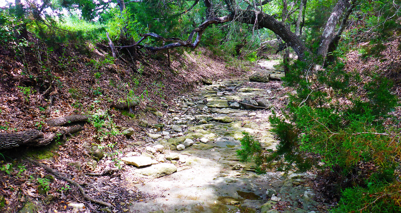 Dischinger-Brehner Ranch