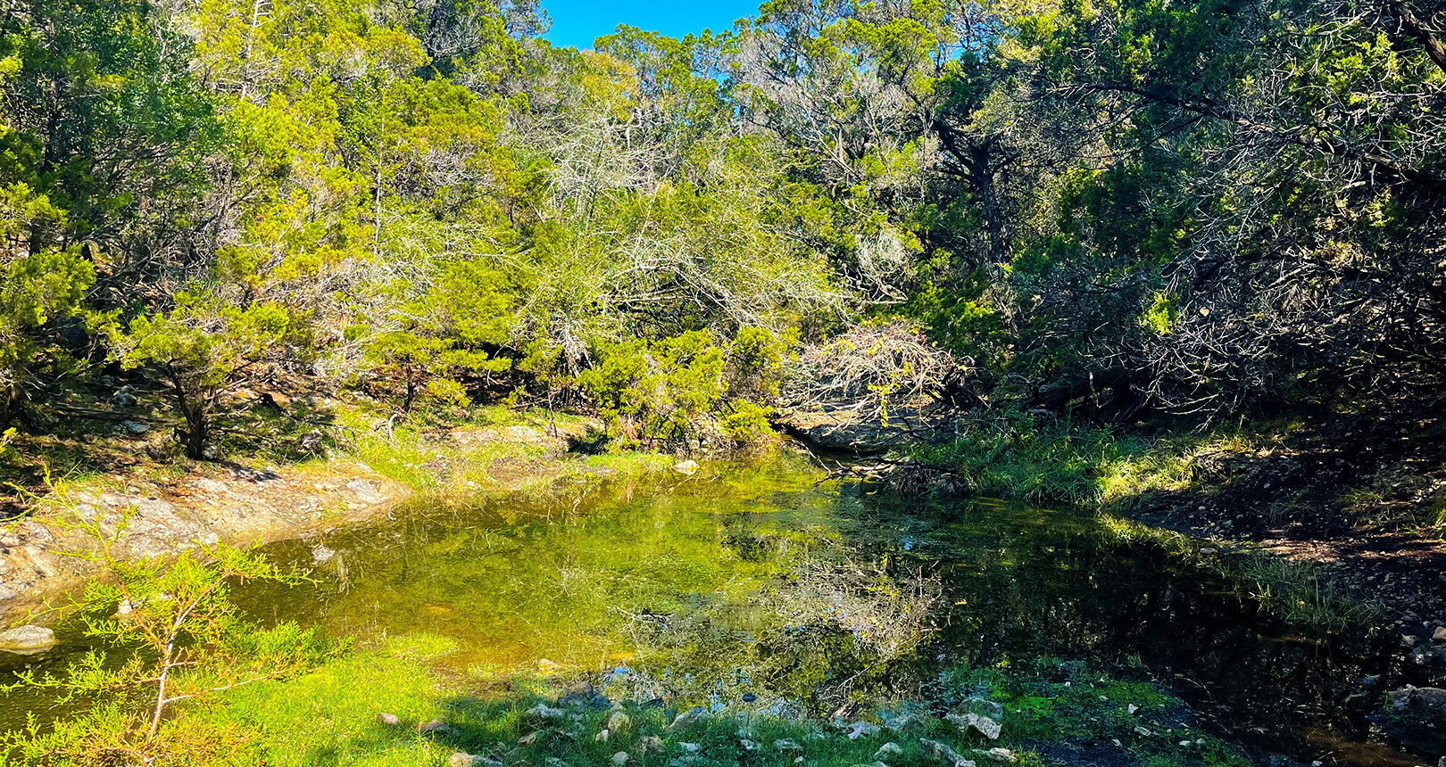 Dischinger-Brehner Ranch