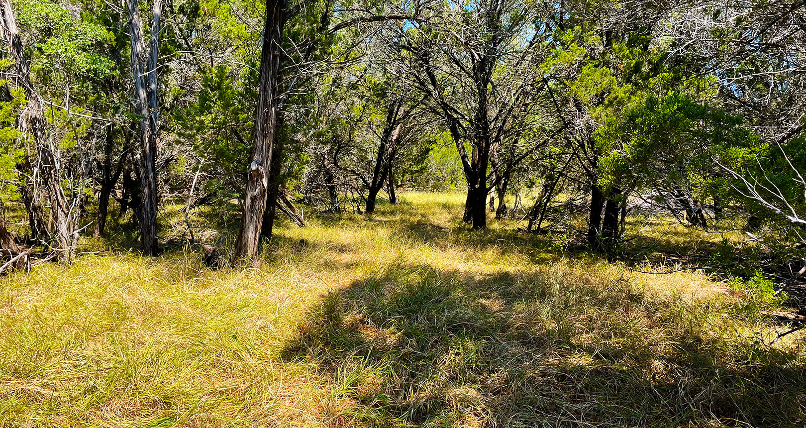 Dischinger-Brehner Ranch