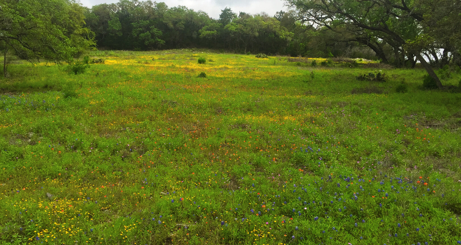 Edwards Aquifer Authority Field Research Park
