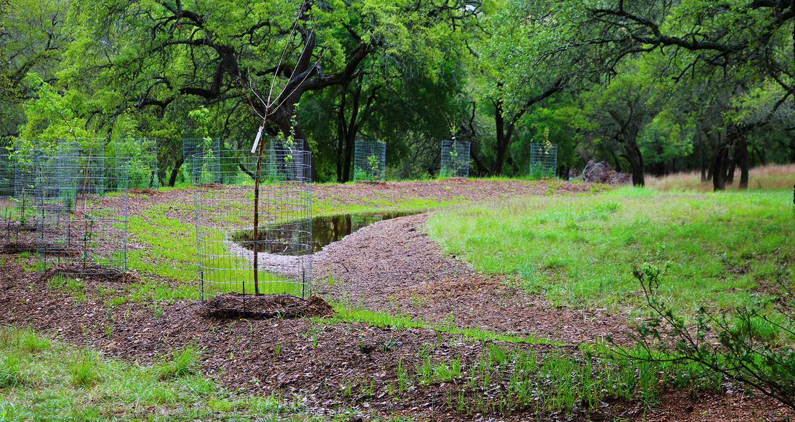 Edwards Aquifer Authority Field Research Park