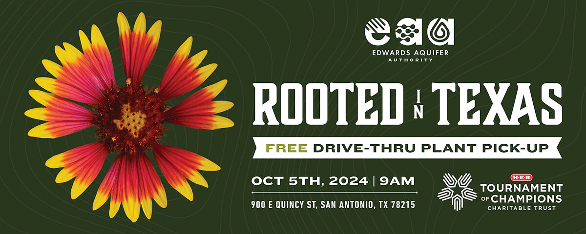 Rooted in Texas