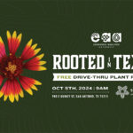 Rooted in Texas